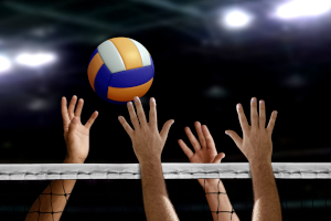 Volleyball-betting on the winner
